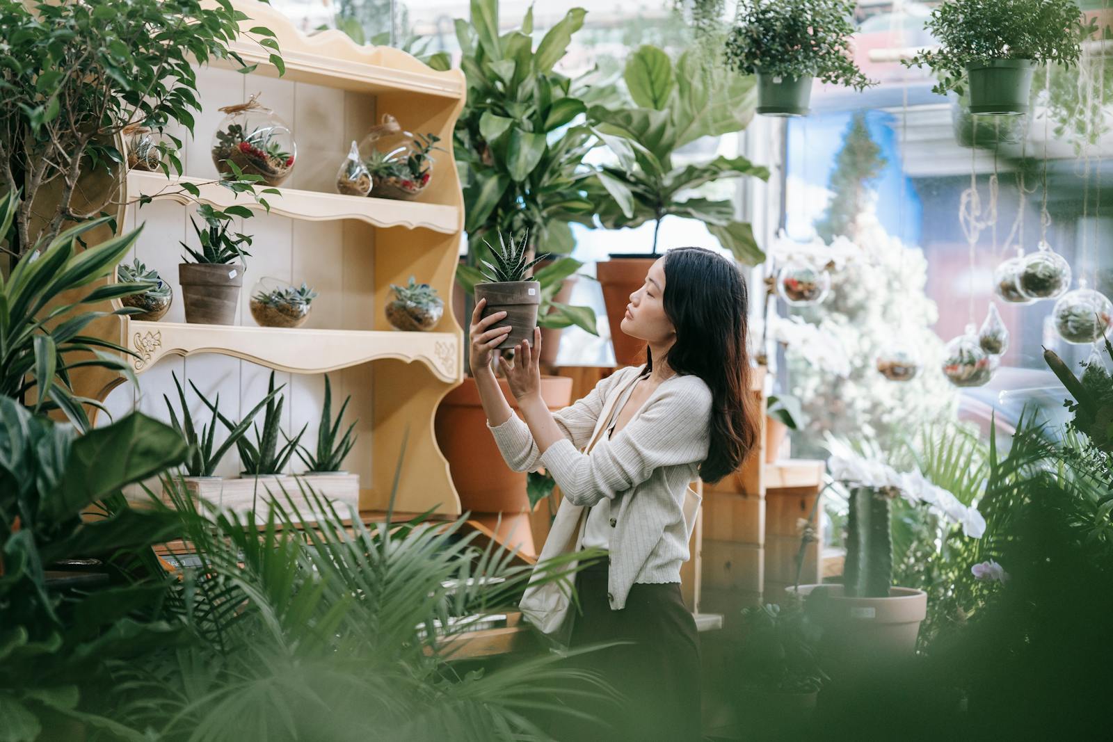 Beginner’s Guide: How to Choose the Perfect Plant from LivingHomescape.com