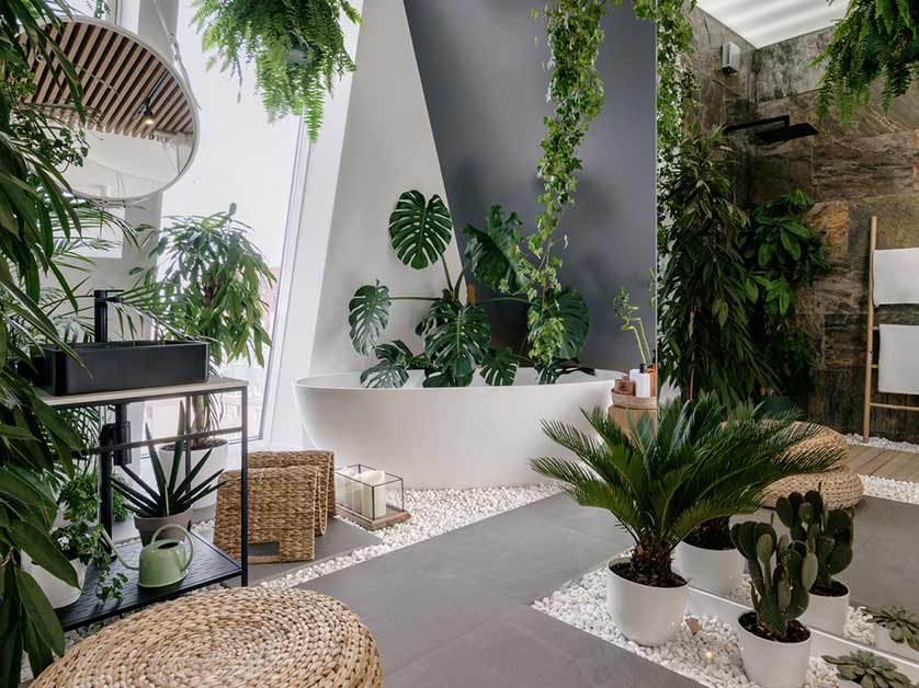 Biophilic Bliss: Integrating Plants, Sunlight, and Natural Materials for Maximum Mental Wellness